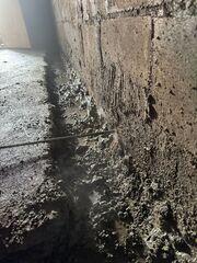 Infiltrations d'eau visibles sur les murs