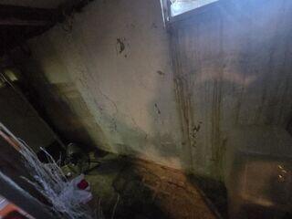 Damp Basement