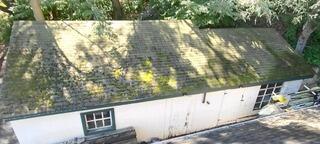 Garage roof with moss