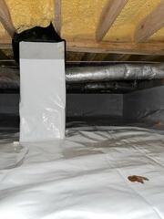 Moisture Protection