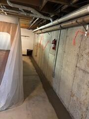 Drainage System