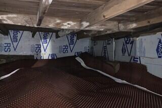 Mold on the Wooden Joists