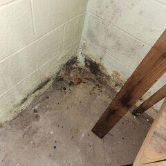 Basement Waterproofing in Dawson Springs, KY
