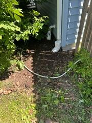 IceGuard Discharge Line