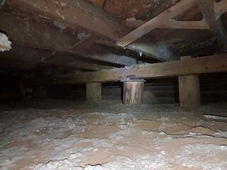 Before: Exposed Soil and Wood Supports