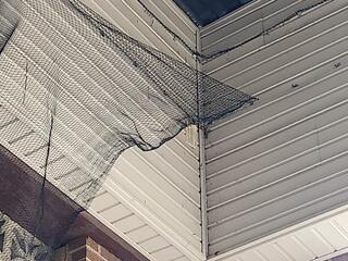 Next, we began installing the bird netting.