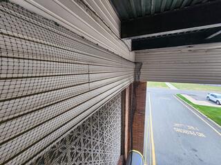 Humanely Block the Birds