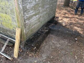 A positive set is a device that's comprised of a nose cone that is attached to a two-gaited, heavy-duty device. The nose cone will guide the groundhogs safely into the heavy-duty device. It's called a positive set, because we are positive that the groundhogs will enter the devices!