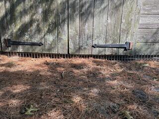 Relocate The Groundhogs