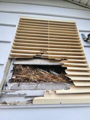 Now to Remove the Nesting Debris