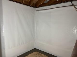 CleanSpace