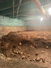 Unprotected & Exposed Floors