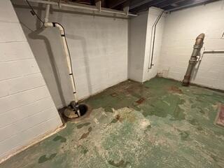 Basement Makeover in Springfield, IL