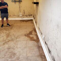 Damp Basement