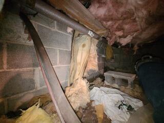 All existing insulation and debris will be removed from the crawlspace.