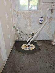 A Sump Pump That Has Your Back