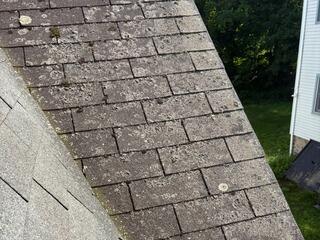 Before: Deteriorating Shingles & Moss Growth