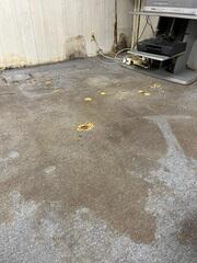 Old and Wet Basement