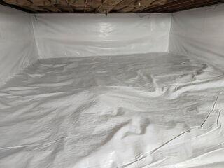CleanSpace