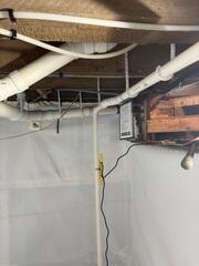 New CleanSpace
