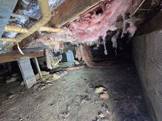 Crawl Space