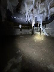 Crawl Space
