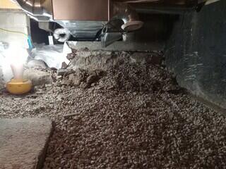 Dirt Floor