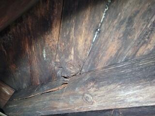 Rot has cause joist failure.
