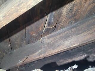 Rotted Crawlspace Wood
