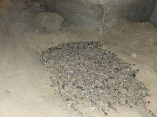 Crawl Space Repair Company in Payette, ID