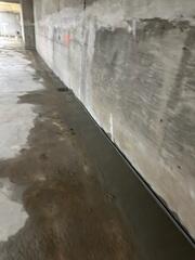 WaterGuard