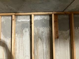 Moisture Damage on Basement Wall - Draper, UT