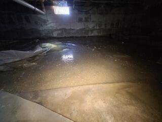 Standing Water