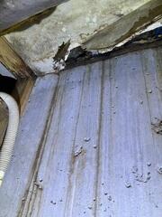 Basement Water Damage