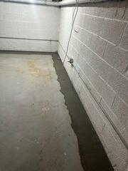 WaterGuard Drainage System