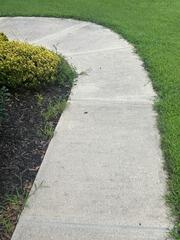 Before the concrete was washed, it was covered in years of built-up grime.