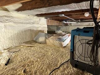 Wet, Moldy Crawl Space