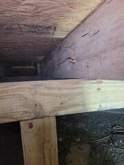Weak crawl space wood causes sagging floors.