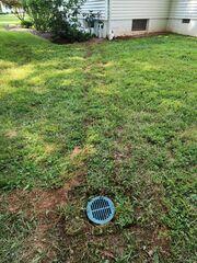 LawnScape