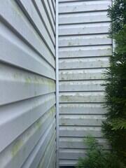 Before the soft wash, the vinyl siding on this home was covered in green grime and buildup.