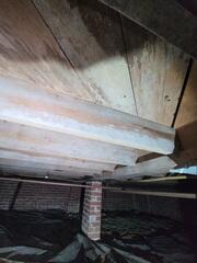 Moldy Crawl Space Wood