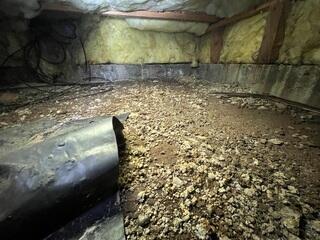 Nasty Crawl Space