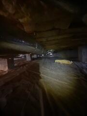 Crawl Space Before Encapsulation - Asheboro, NC