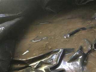 Water Damaging Nasty Crawl Space- Eugene, OR