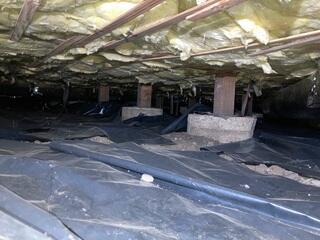 Nasty Crawl Space