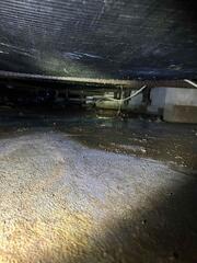 Damp Crawl Space
