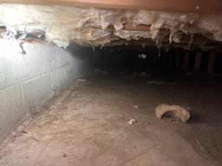 Crawl Space Encapsulation in Cedar Grove, NJ