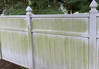Professional Exterior Soft Washing in Milford, DE