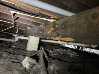 Wooden Floor Joist Damage