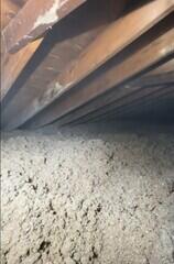 Densely Packed Cellulose
